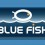 Newsletter BlueFish FR Juillet 2015