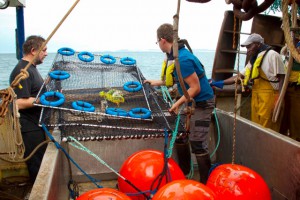 Premiers essais de mise à l'eau en 2014